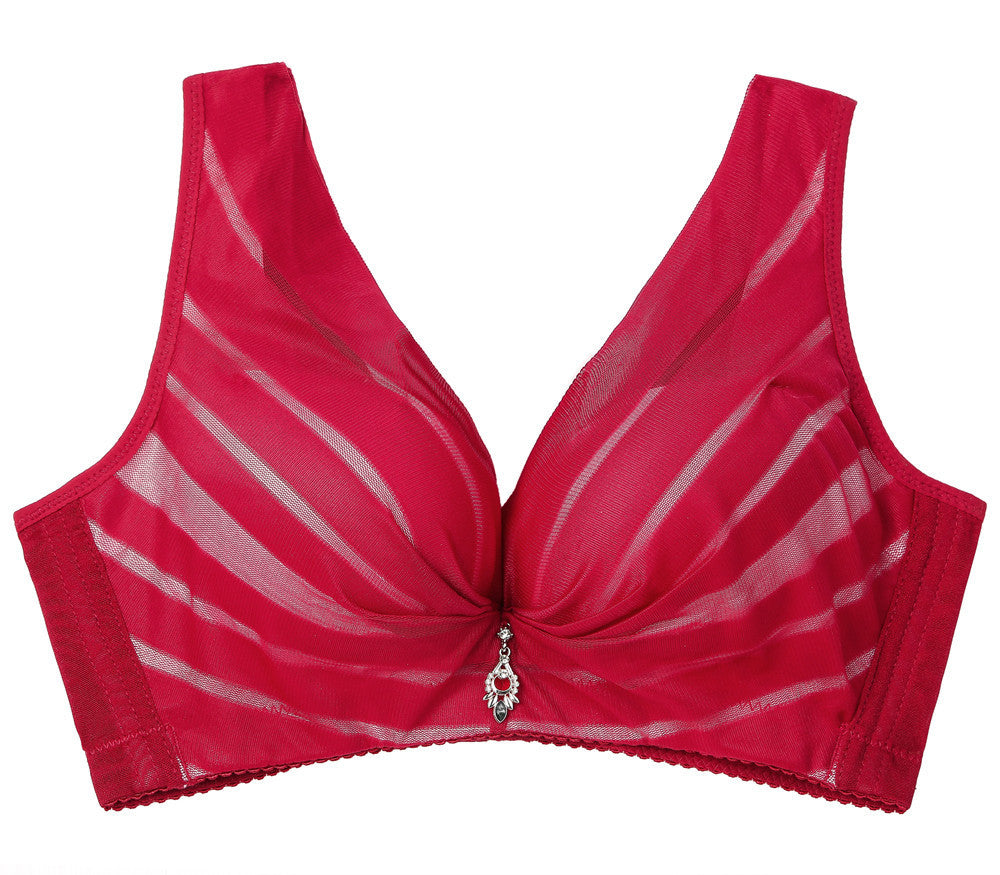 Plus Size Sexy bra for Women - Willy05Boutique